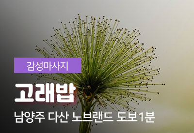 남양주다산동-1인샵-고래밥.jpg